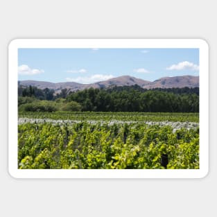 the vines Sticker